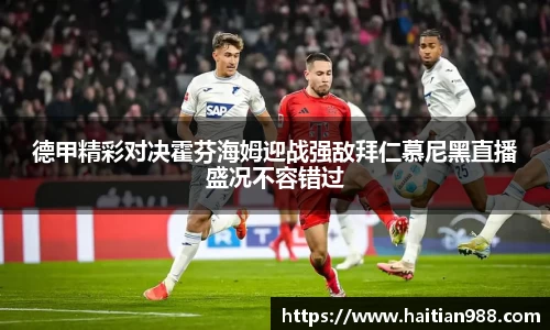 ley乐鱼